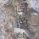 웰빙클럽 이미지