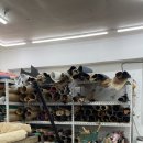 언블런