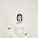 연수동사진관 이미지