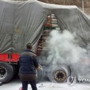 동해소방서(북삼119안전센터) 이미지