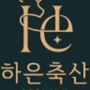 하은쇼핑몰 네이버블로그