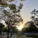 어반스케치 일러스트 이미지