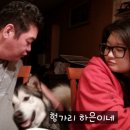 심술 - 제천시 | 심술