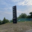 대머리근린공원 | [평택가볼만한곳] 수국축제는 끝났지만, 아직 수국은 피어있는 "평택 내리문화공원" 방문후기