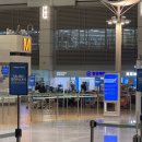 DIANA호텔 | 타이항공으로 방콕 경유, 방콕 8시간 레이오버, 카트만두 트리부반 공항 근처 숙소 airport diana hotel ✤