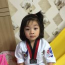 혜성태권도체육관 이미지