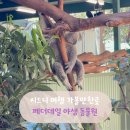 하양-15(금락4어린이공원) | 시드니 여행 가볼만한곳 페더데일 동물원 가는법 운영시간 입장권 예약 가격 코알라 쿼카 오픈런 오후 후기