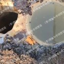 고하대로 이미지