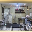 남현댕 애견미용 이미지