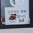 천지수오리보감 이미지