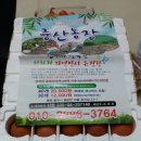 동녁농장 이미지