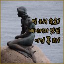 세븐일레븐오산중앙점 | 코펜하겐 중앙역 근처 숙소 추천 및 덴마크 베이커리 맛집 이용 후기 장점 분석