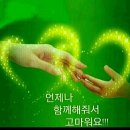 거양길-5 Daum카페