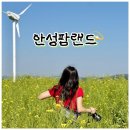 서안성농협 | 지금 딱 가기 좋은 곳🌿 5월의 안성팜랜드 방문후기 (ft. 유채꽃, 동물구경 가득!🐑)