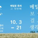 성읍리-10 이미지