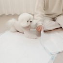 드라이.21 이미지