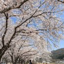 암곡와동경로당 이미지