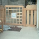 반짝일개 이미지