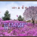 꽃 노래방 Daum카페