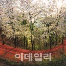 케이아르