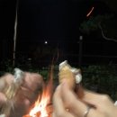 마시멜로 먹으러 갔다가 별에게 반해