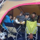 진우농장 이미지