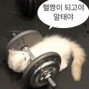 웨이짐 네이버블로그