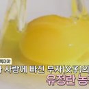 김태현농장 이미지