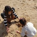 범양목장 이미지