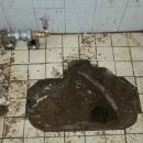 외동경로당 이미지