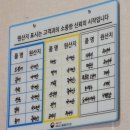 대구 국우동 도남지구 맛집 싱싱산오징어 회 타운