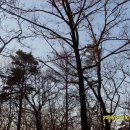 갈산공원 이미지