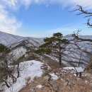 금강