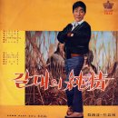 갈대의 순정 / 박일남 (1967) 이미지