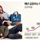 메가브랜드 한국경제