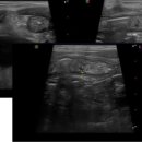 24시프라임동물병원 이미지