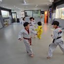 신성 태권도장 이미지