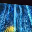 2024-02-0041 | 💗도쿄 팀랩 보더리스✨ (Teamlab Borderless) 11/04/2024💗