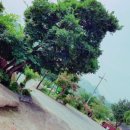 운문민박 이미지