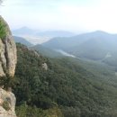우금 경향신문