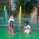 새물근린공원 | 🌞 춘천 퇴계동 무료 물놀이터 후기! 도심 속 시원한 여름 피서지 💦 춘천 퇴계동 한숲 근린공원