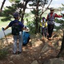 용지회 184회 산행은 계명대학교 뒷동산인 궁산(250.9m)을 오르다. 이미지