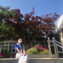 용남고등학교 이미지