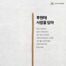 정치후원금