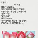 빵긋빵긋 이미지