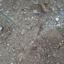 재한농장 이미지