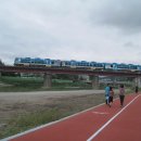 오십천둔치 이미지