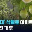 대신조경