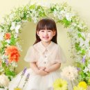 몽스튜디오 이미지