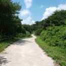 봉수면사무소 이미지